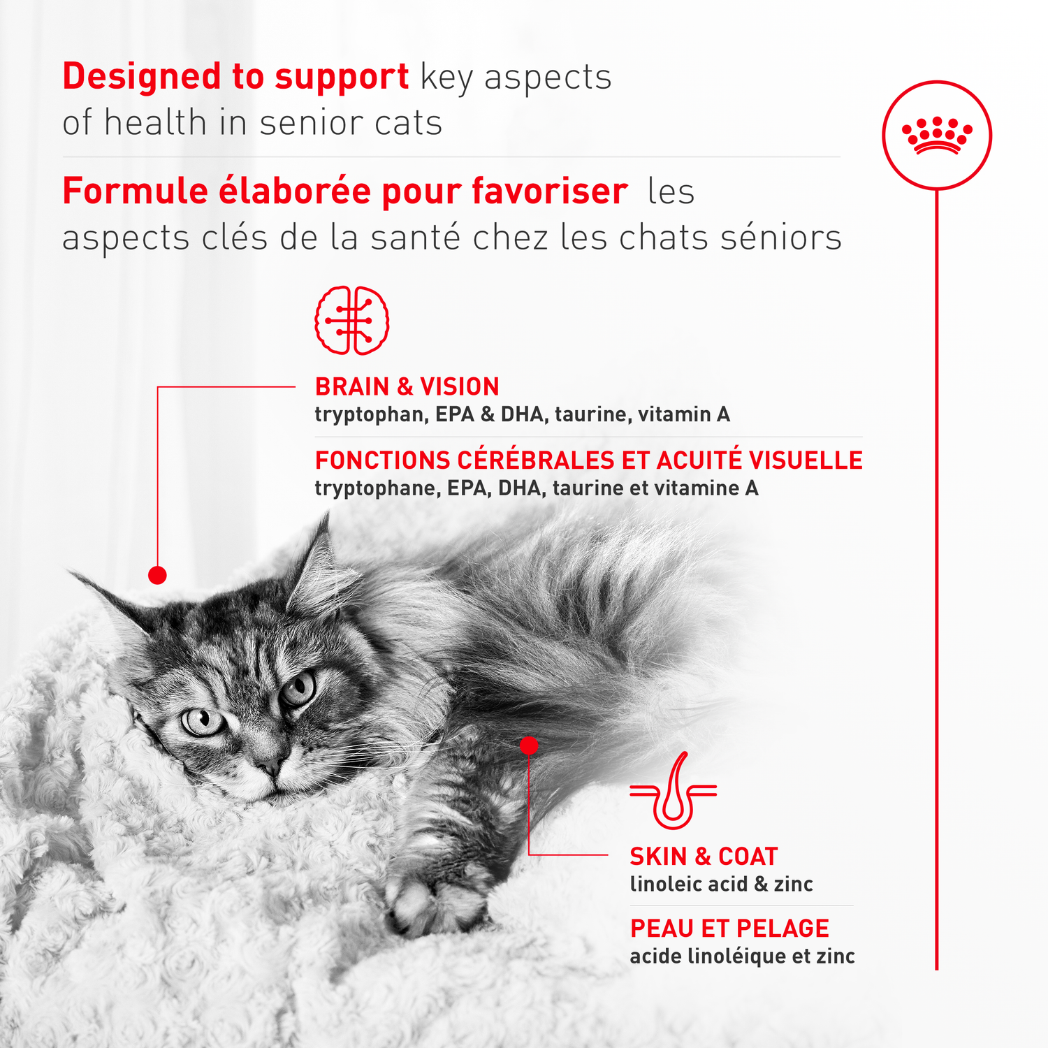 Royal Canin® Feline Health Nutrition™ Aging 11+ Ultra Soft Mousse Canned Cat Food