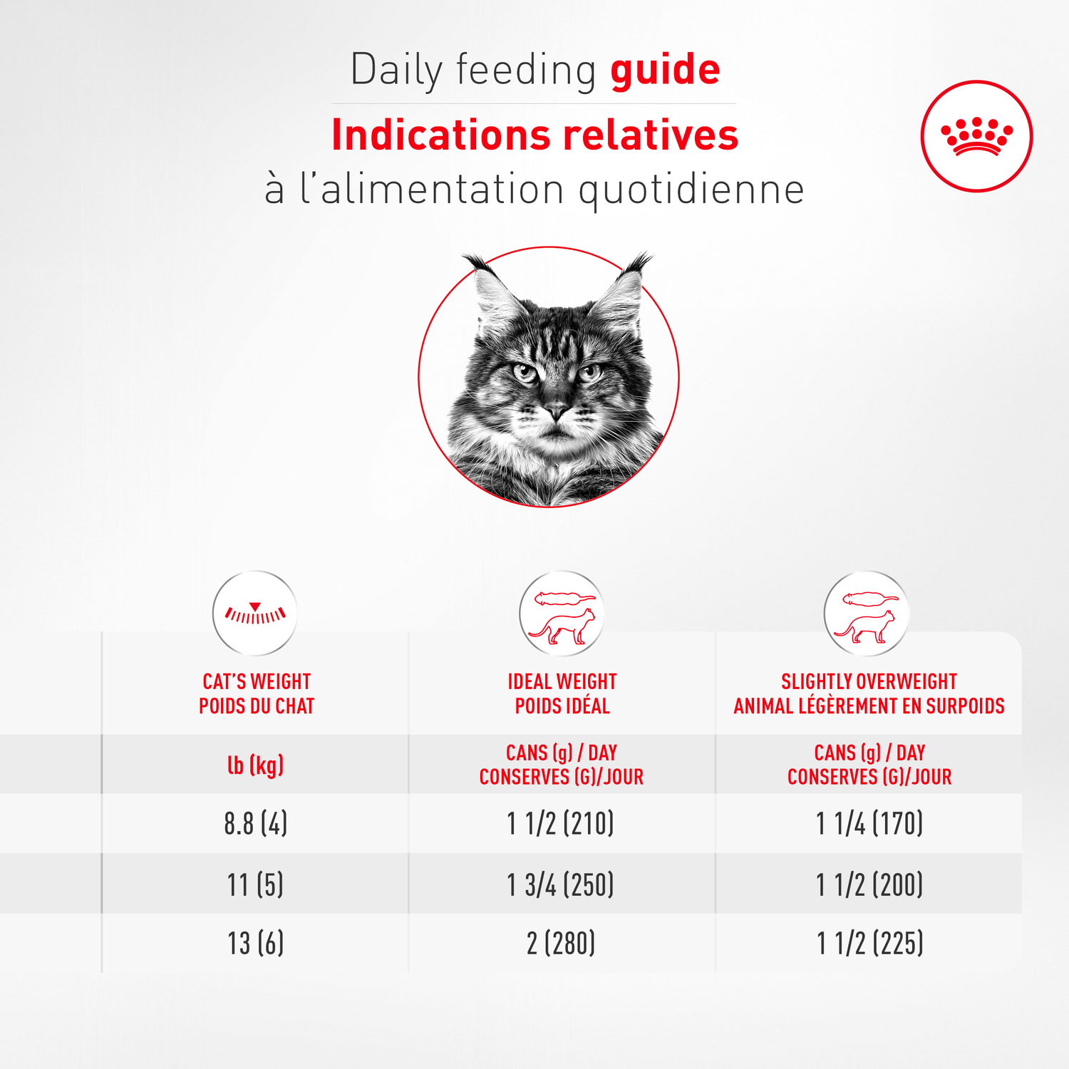 Royal Canin® Feline Health Nutrition™ Aging 11+ Ultra Soft Mousse Canned Cat Food