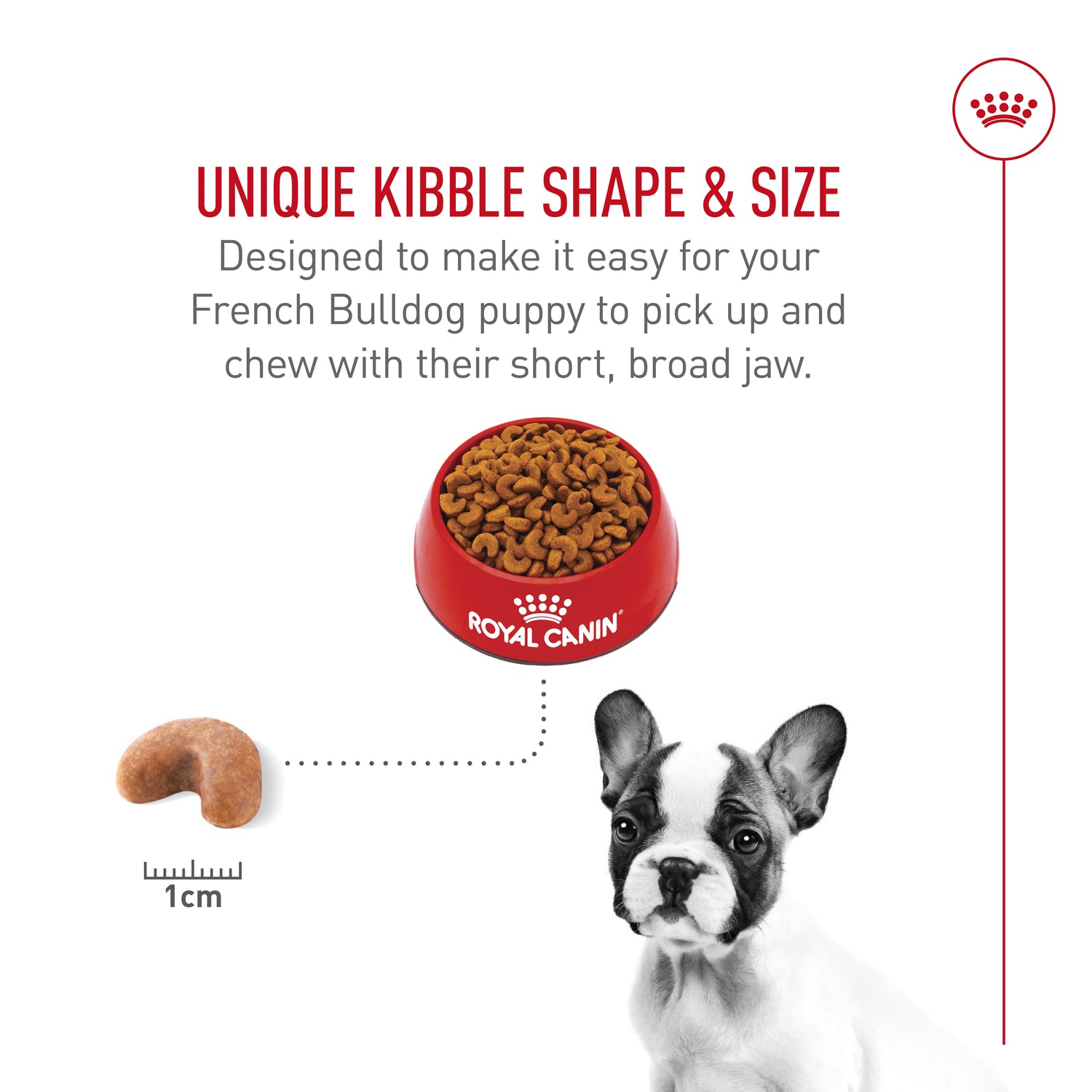 Royal Canin® Breed Health Nutrition® French Bulldog Puppy Dry Puppy Food