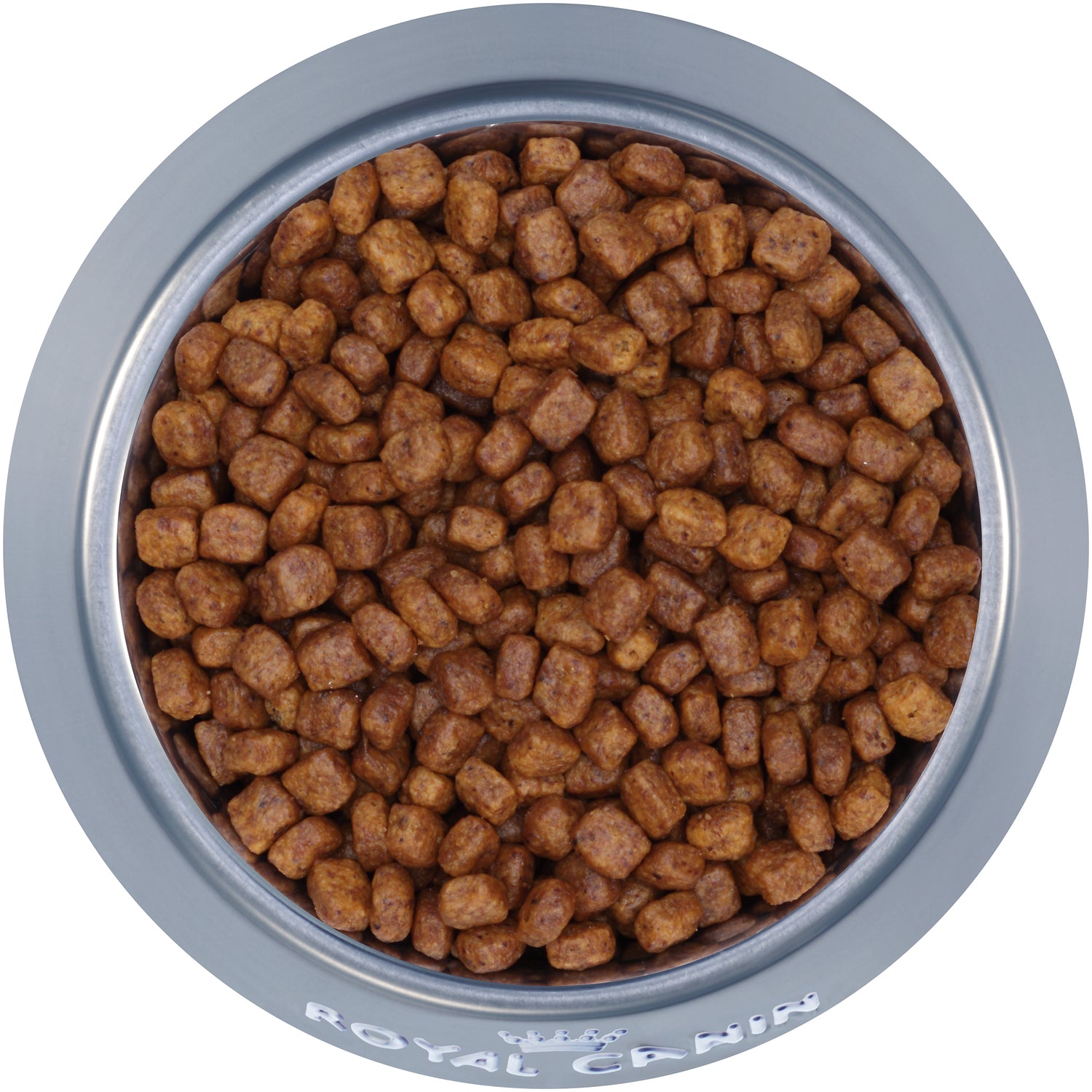 Royal Canin® Breed Health Nutrition® Chihuahua Puppy Dry Dog Food