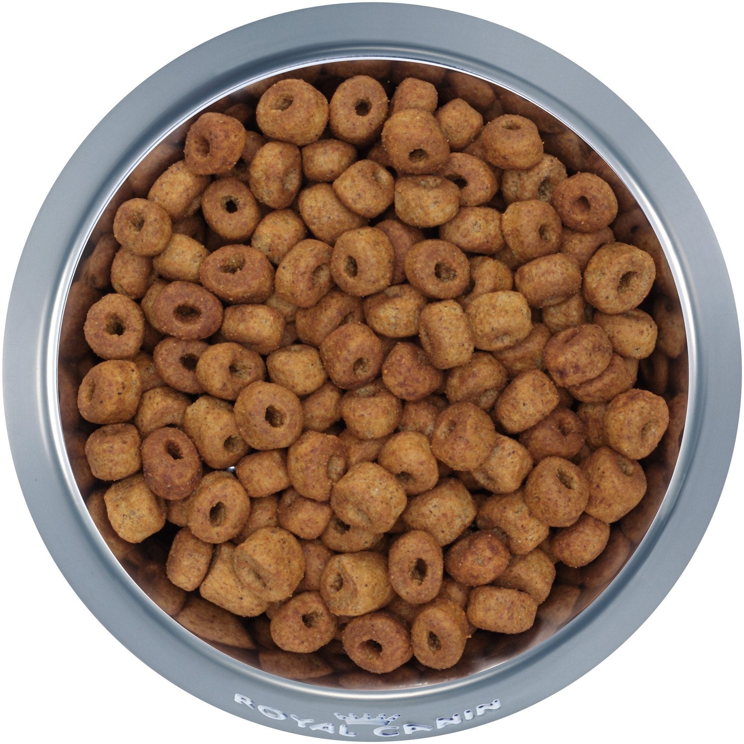 Royal Canin® Breed Health Nutrition® Labrador Retriever Adult Dry Dog Food