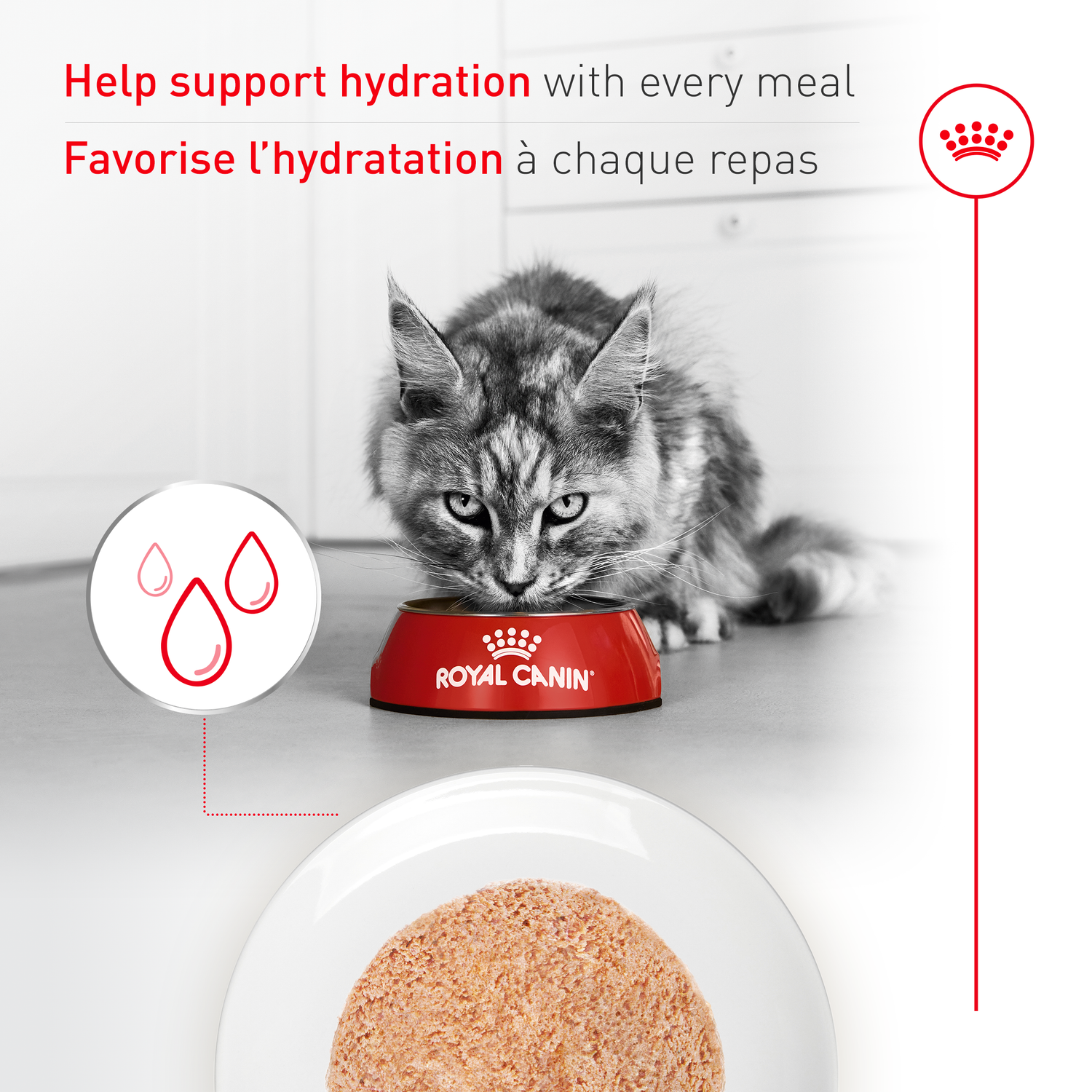 Royal Canin® Feline Health Nutrition™ Aging 11+ Ultra Soft Mousse Canned Cat Food