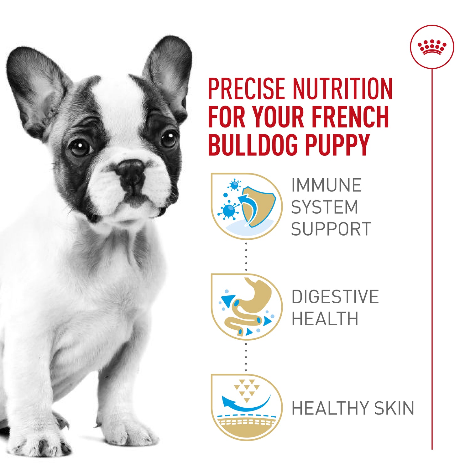 ROYAL CANIN Nutrition Santé de Race BOULEDOGUE FRANÇAIS CHIOT – nourriture sèche pour chiots