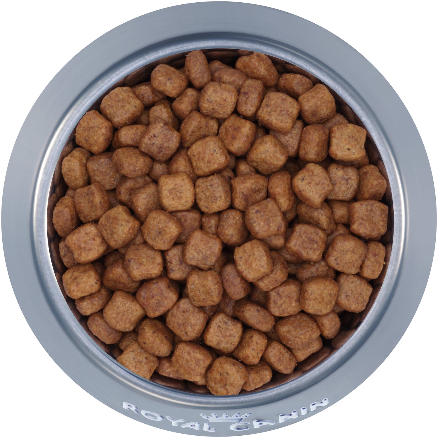 Royal Canin® Breed Health Nutrition® Dachshund Adult Dry Dog Food