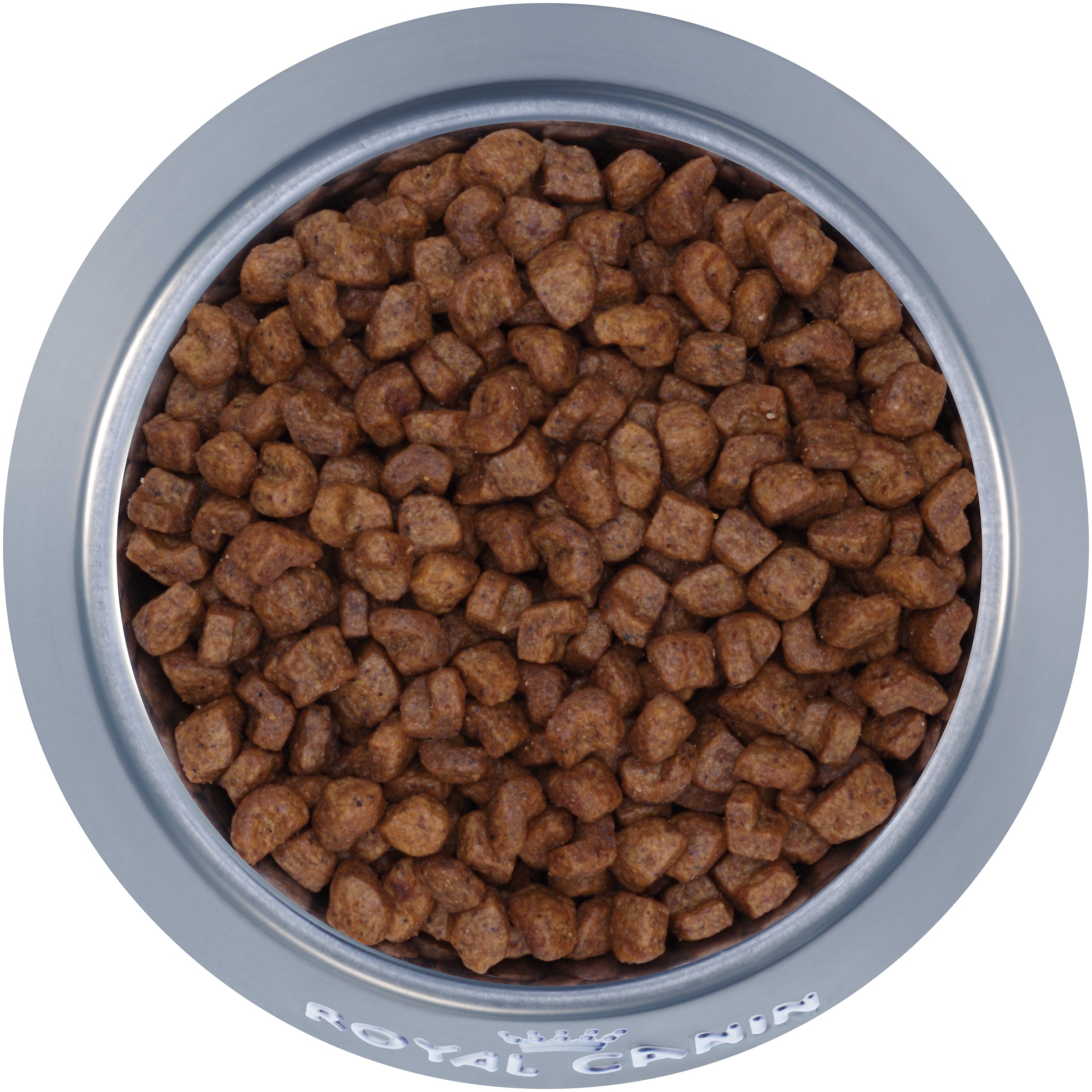 Dog food for shih tzu best sale