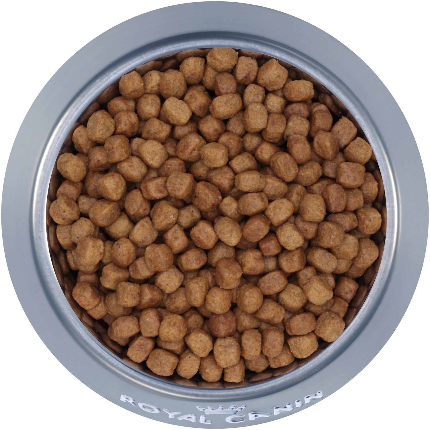 Royal Canin® Breed Health Nutrition® Dachshund Puppy Dry Dog Food