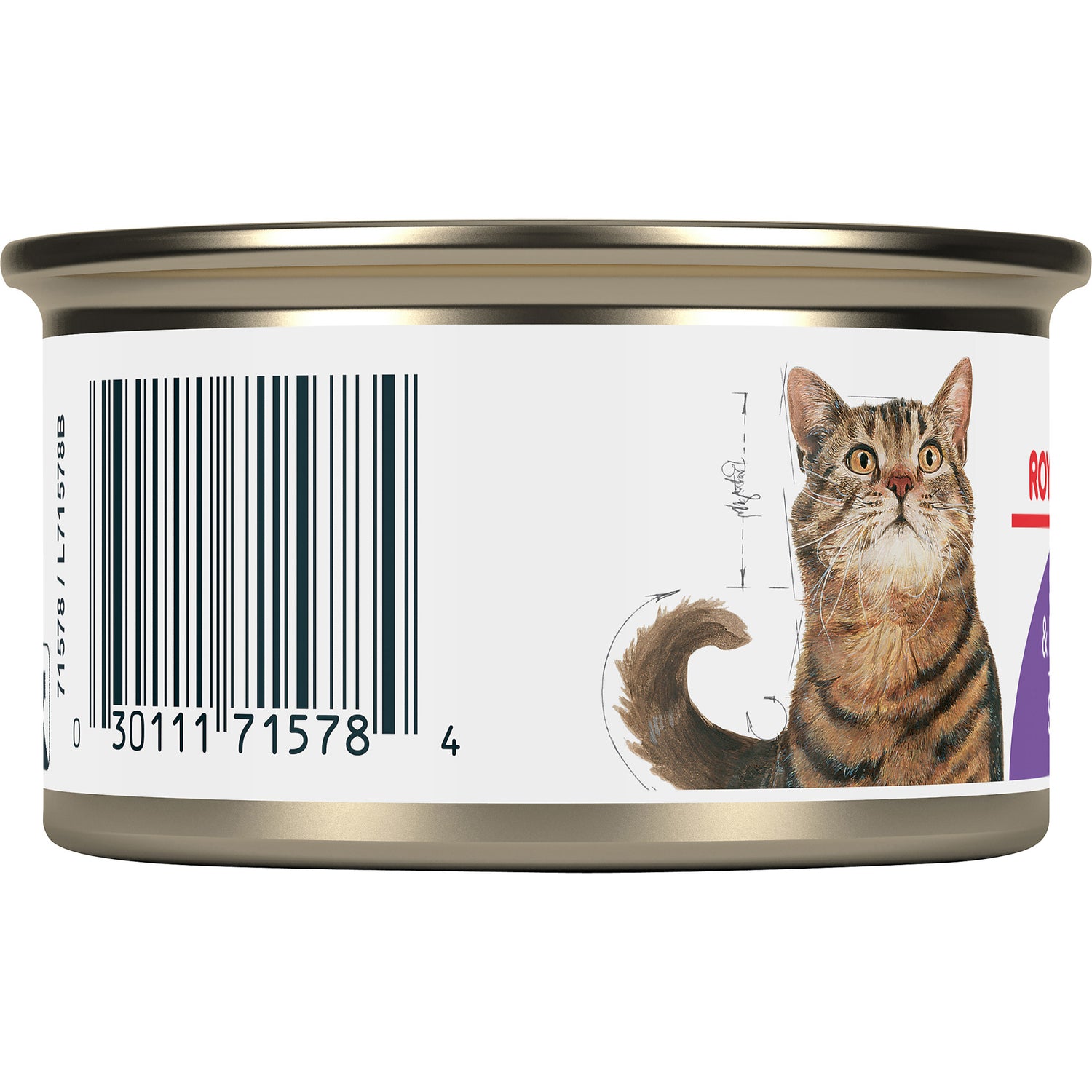 ROYAL CANIN Nutrition Santé Féline STÉRILISÉ FINES TRANCHES EN SAUCE – nourriture en conserve pour chats