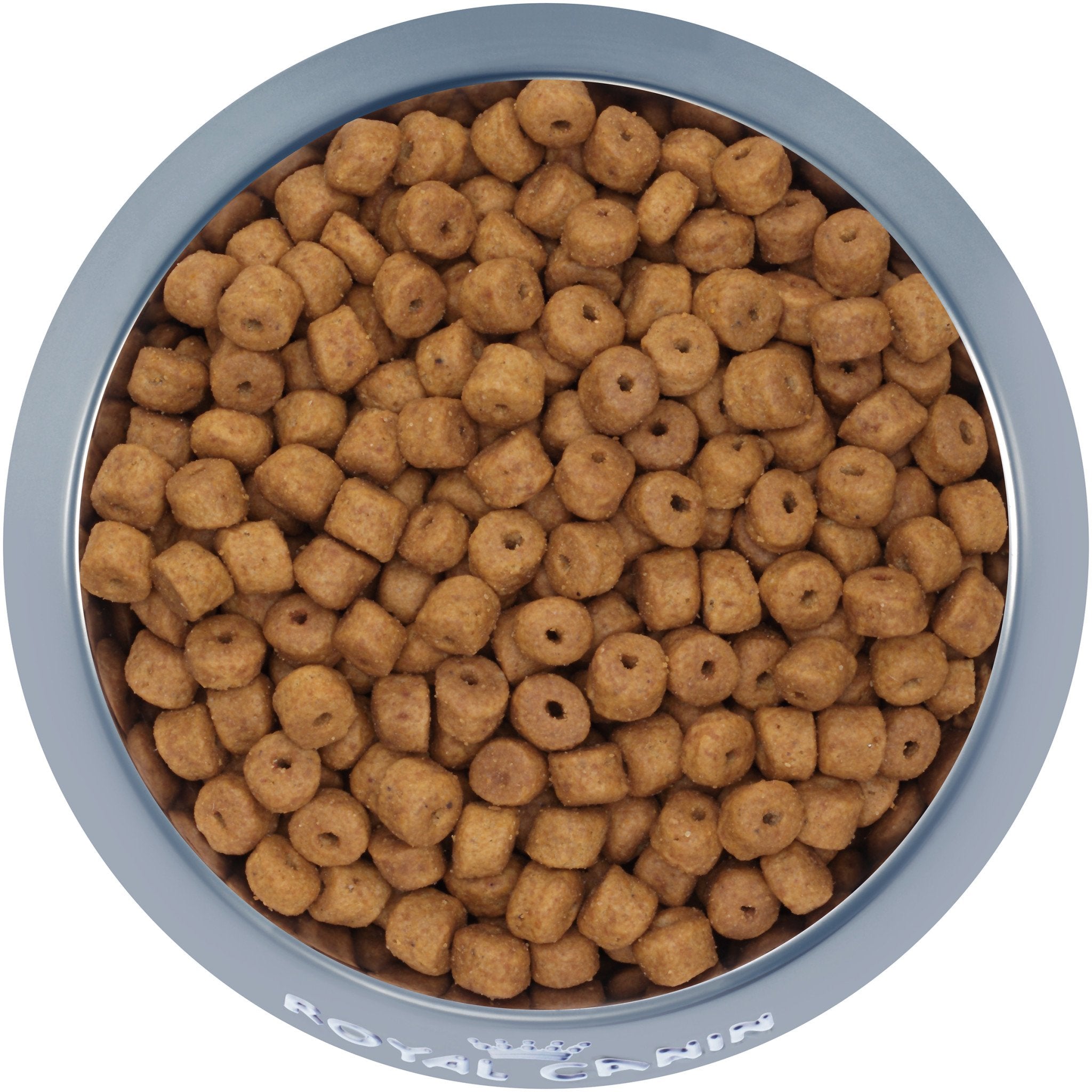 Dog food for lab clearance puppies