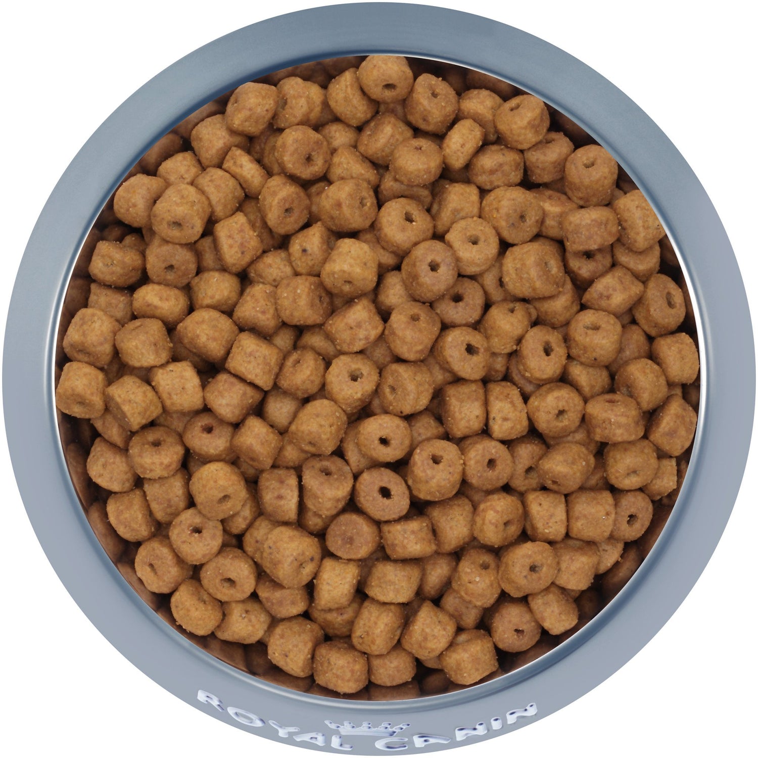 Royal Canin® Breed Health Nutrition® Labrador Retriever Puppy Dry Puppy Food
