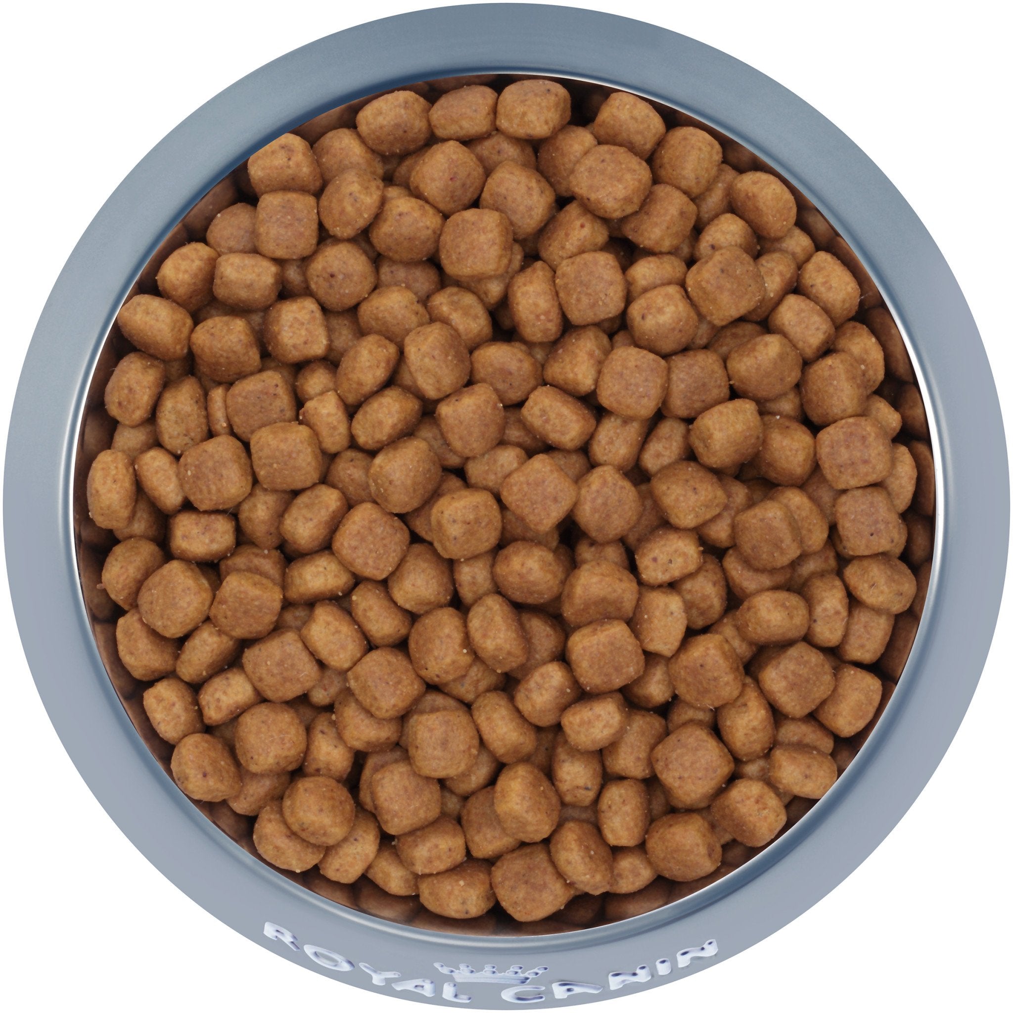 Kibble 2025 puppy food